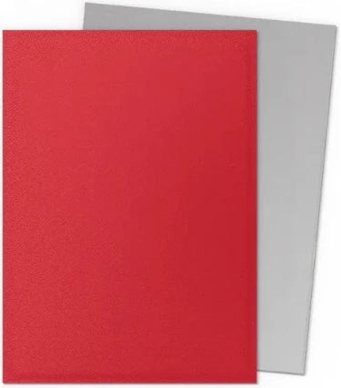 Dragon Shield Matte Dual 100 Crimson & Silver