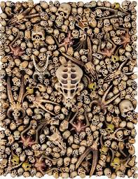 CITADEL SKULLS