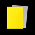 Dragon Shield Matte Dual 100 Yellow & Silver